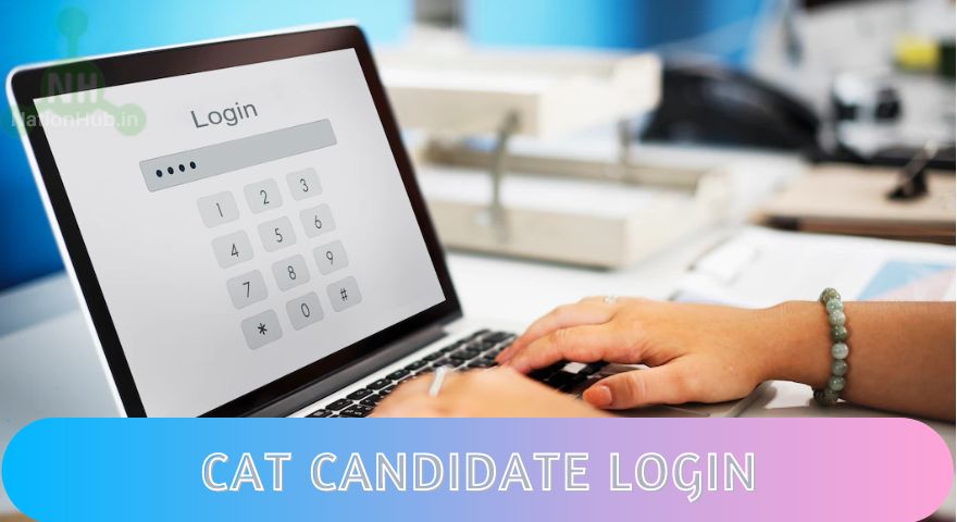 cat candidate login featured image