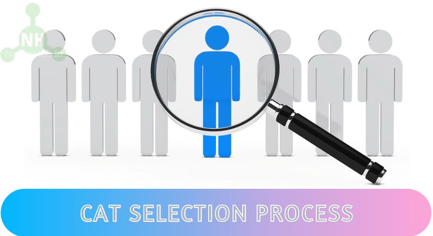cat selection process featured image